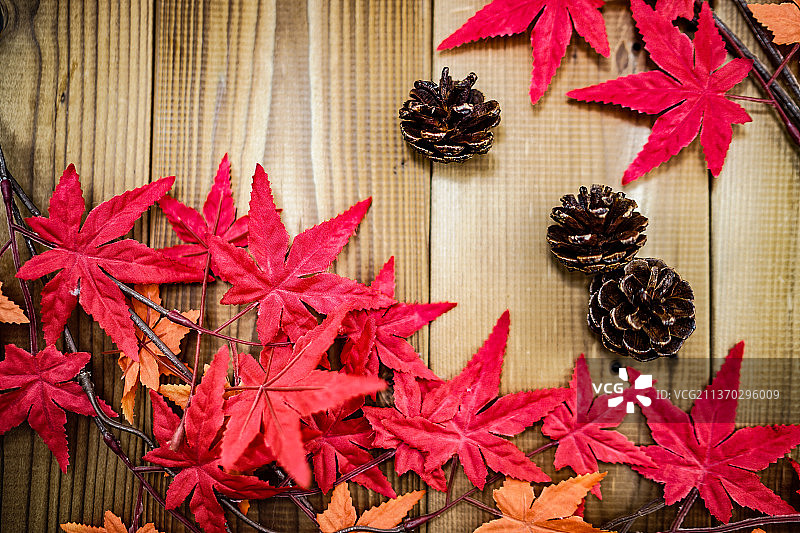 秋叶和松果图片素材