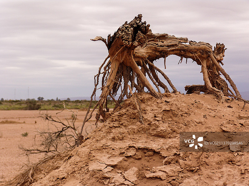 干旱地面破碎纹理特写图片素材