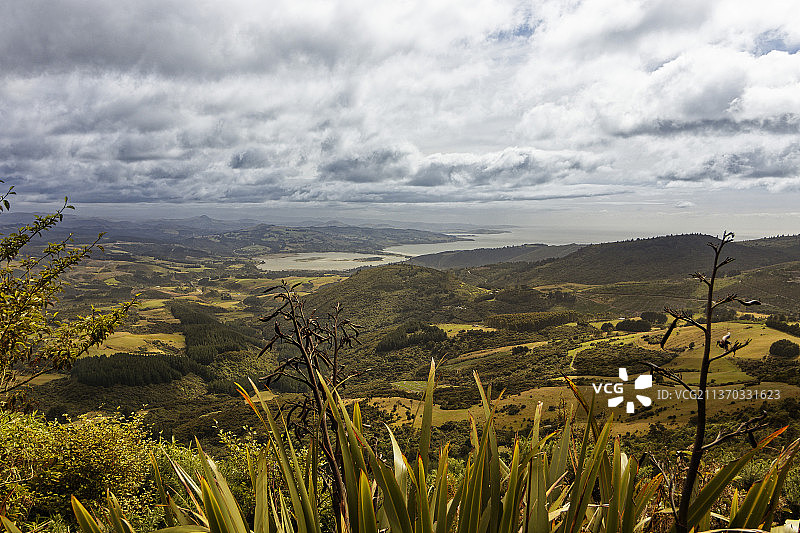新西兰达尼丁的布鲁斯金湾田野风光图片素材