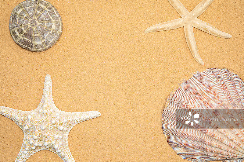 用于放松的贝壳、石头和海星沙滩背景图片素材