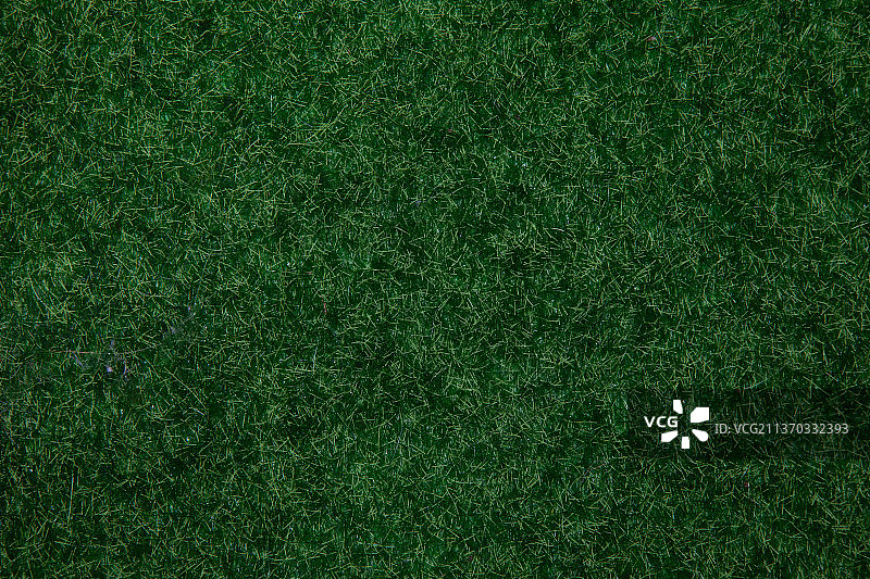绿色草地纹理背景草地花园概念图片素材