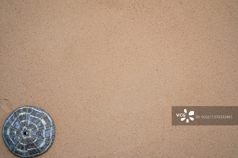 用于放松的贝壳、石头和海星沙滩背景图片素材