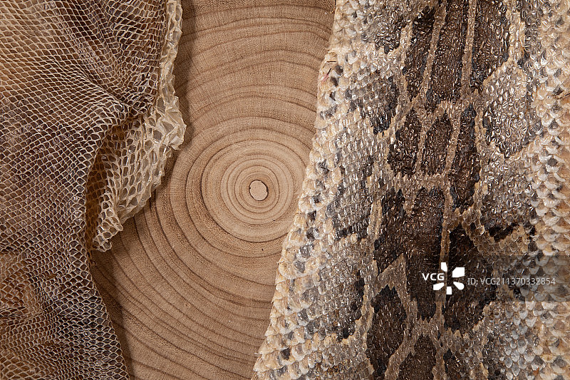 木质蛇皮背景纹理木材全画幅拍摄图片素材