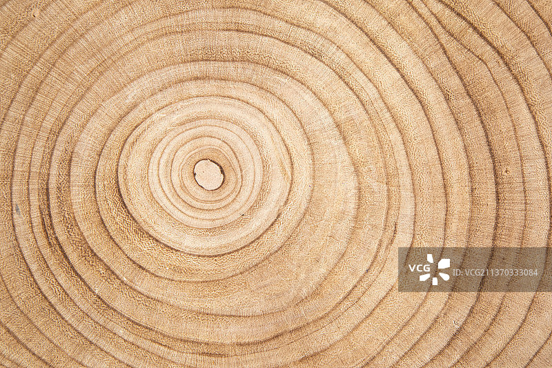 木纹背景，木材横截面微距图片素材