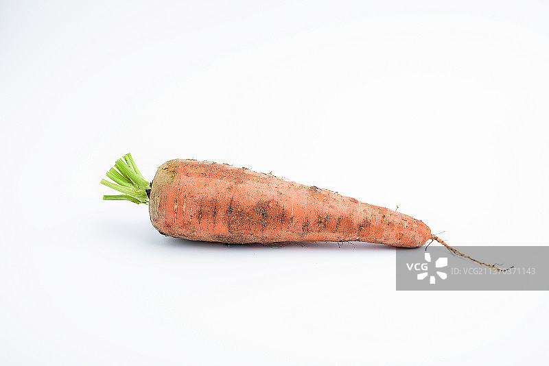 新鲜沾泥的胡萝卜图片素材