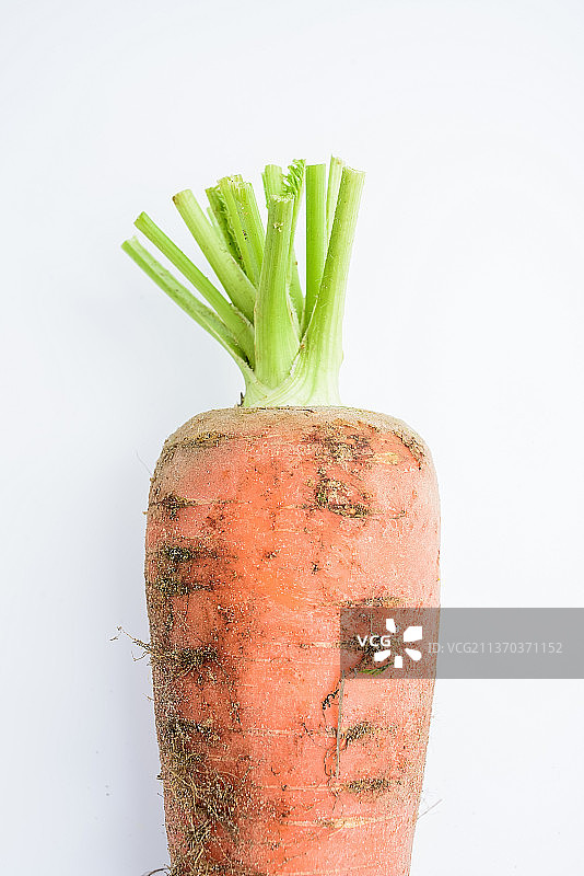 新鲜沾泥的胡萝卜图片素材