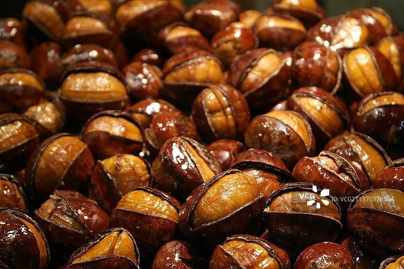 开口板栗图片素材