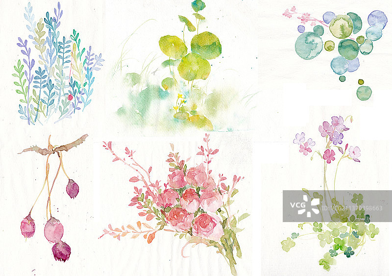 水彩植物花卉素材图片素材
