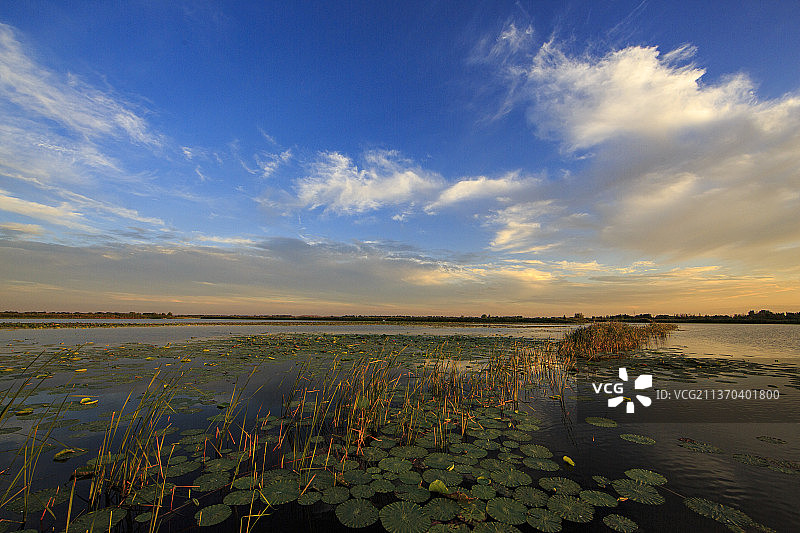 白洋淀风光图片素材