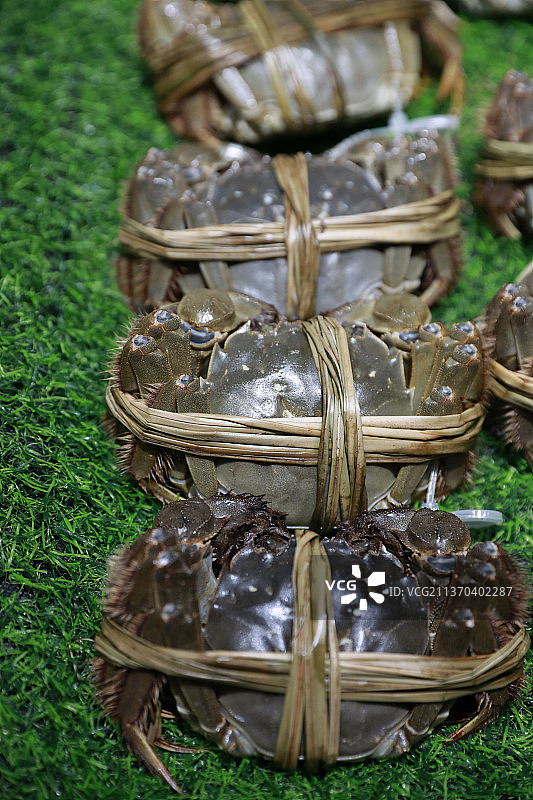 大闸蟹图片素材