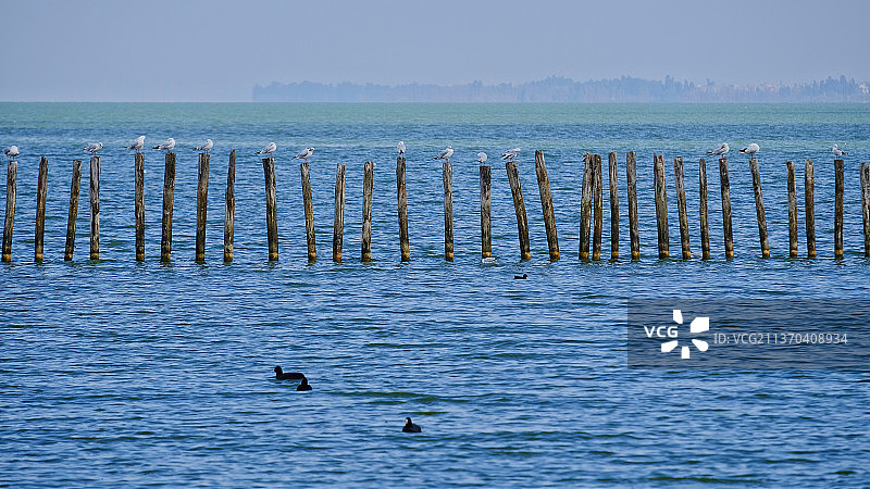 排排站图片素材