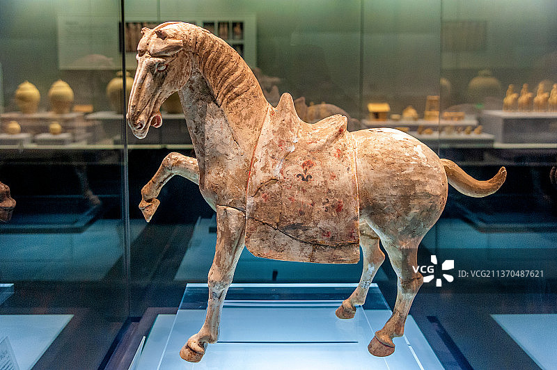 中国河南洛阳博物馆馆藏唐代三彩马图片素材