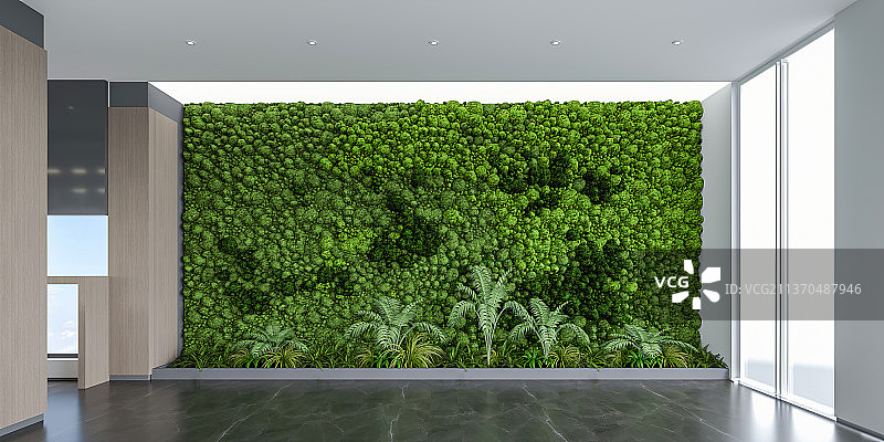 办公室门口植物背景墙图片素材