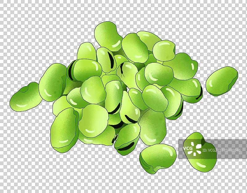 新鲜的蚕豆图片素材