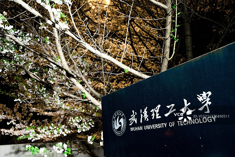 武汉理工大学春天晚上白色的夜樱图片素材