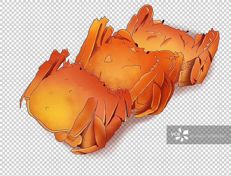 螃蟹插画元素图片素材