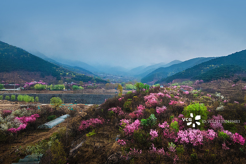 泰山桃花峪图片素材