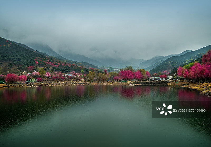 泰山桃花峪图片素材