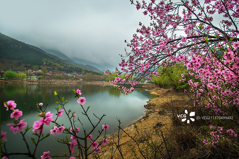 泰山桃花峪图片素材