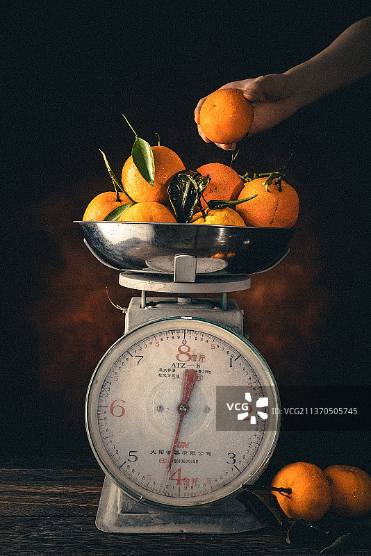 手拿橘子图片素材