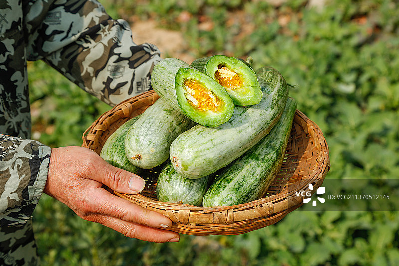 手里端着一篮新鲜羊角蜜图片素材
