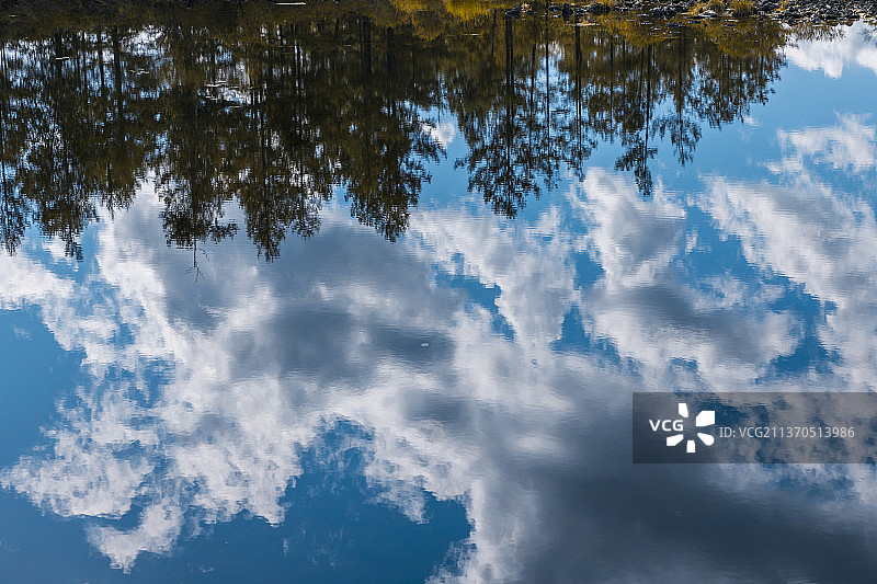 树林与水中倒影图片素材