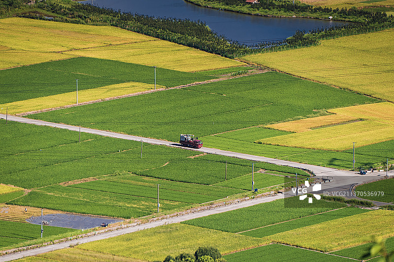 农田的色块图片素材