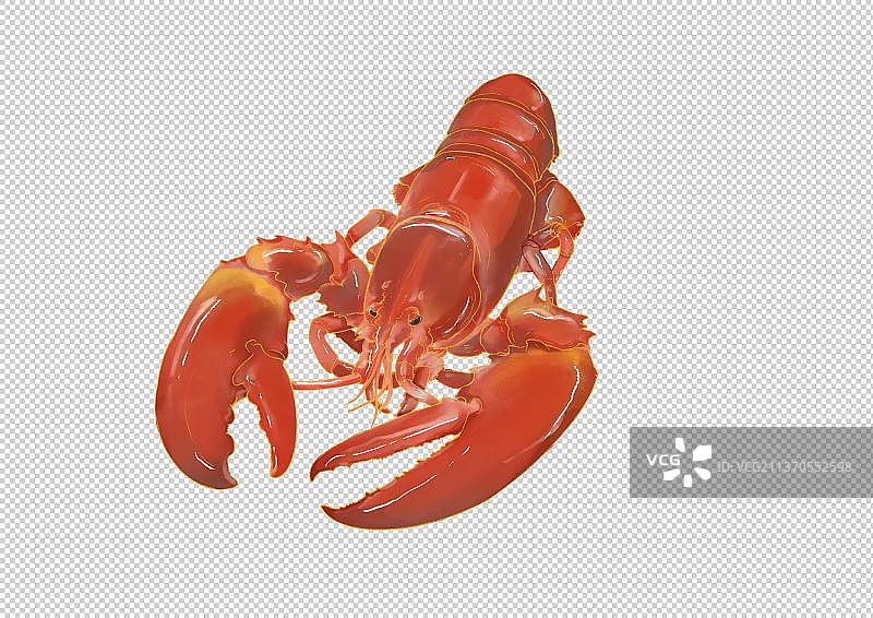 龙虾图片素材