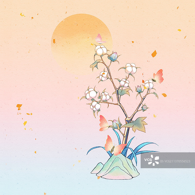 一棵棉花图片素材