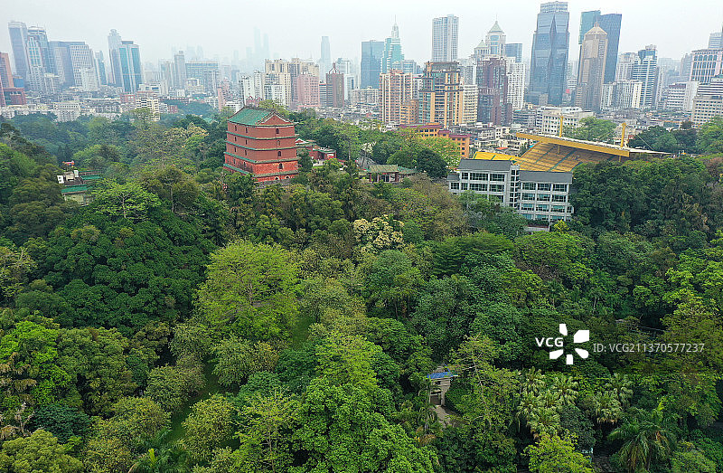 广东省广州市越秀区越秀公园航拍图片素材