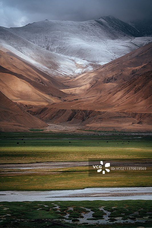 雪山下的草原图片素材