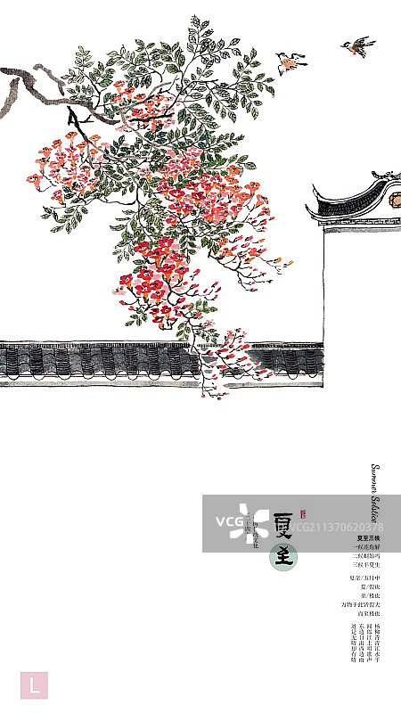 唯美凌霄花插画二十四节气海报模板夏至图片素材