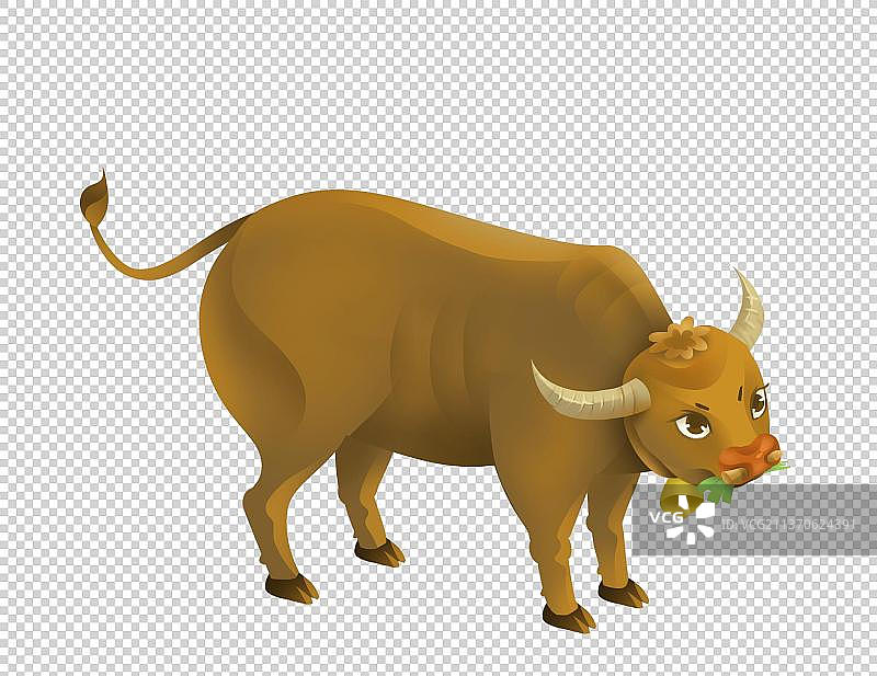 吃草的老黄牛图片素材