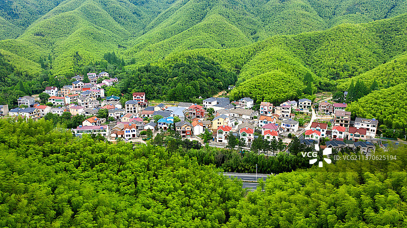 山中竹乡图片素材