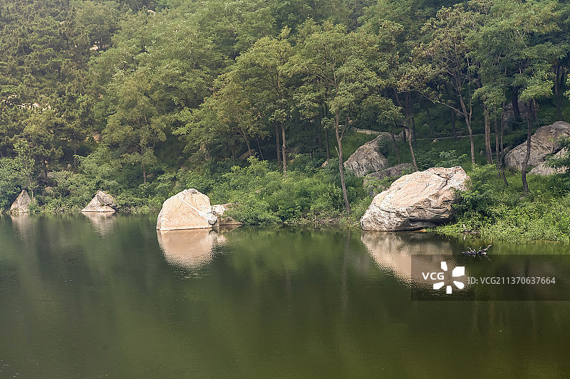 树林枝繁叶茂湖水倒影图片素材