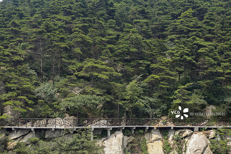 中国山东临沂市沂蒙山国家地质公园龟蒙景区悬崖栈道图片素材
