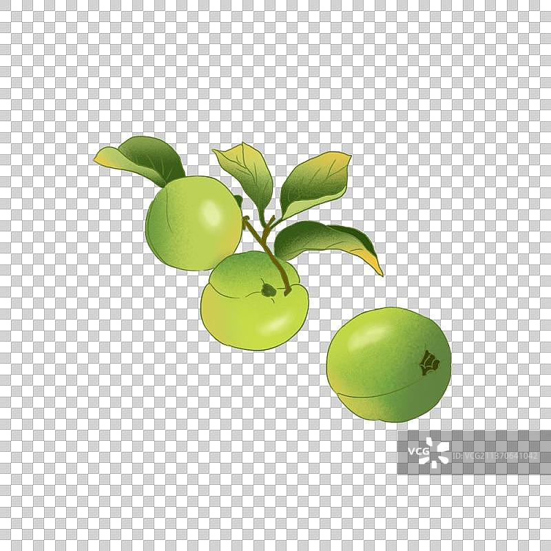 几个青梅果子元素图片素材