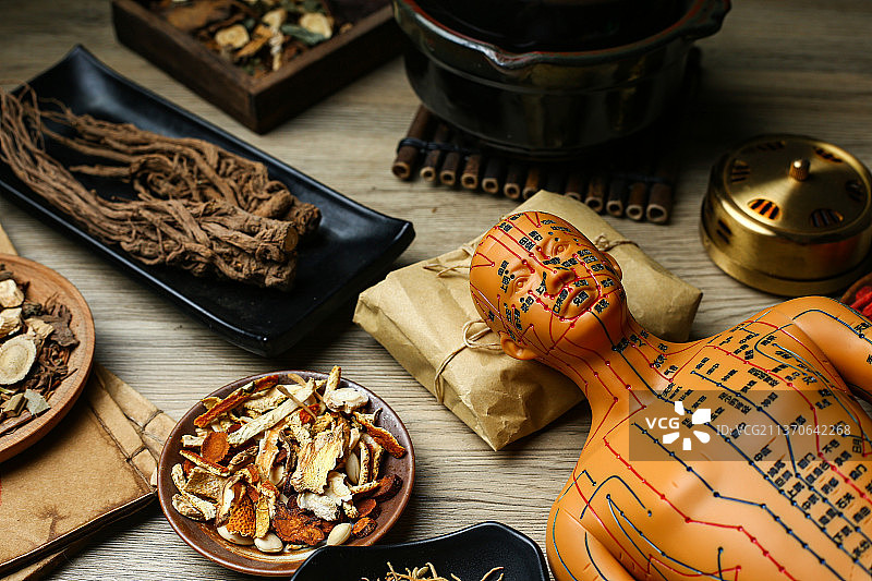 针灸穴位模型和中药材放在木桌上图片素材