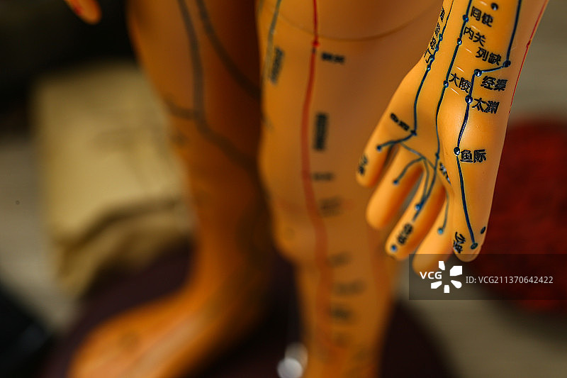 中医针灸手部穴位模型特写图片素材