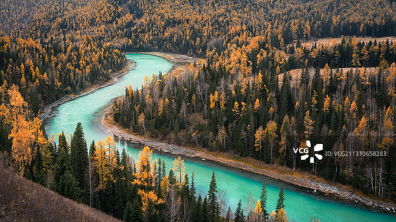 喀纳斯河图片素材