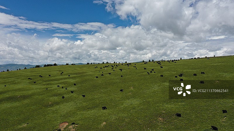 风光 理塘图片素材