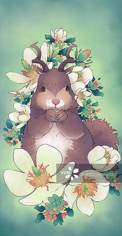 松鼠开心果图片素材