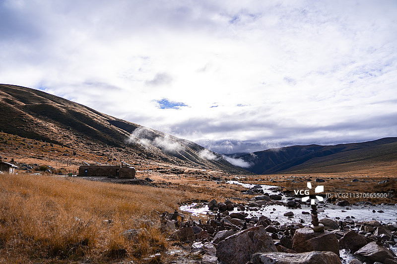 四川莲宝叶则图片素材