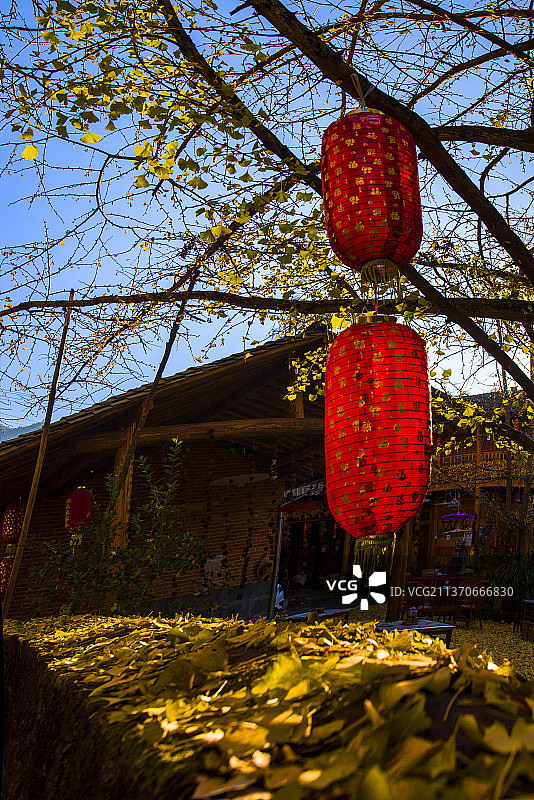 云南腾冲银杏村图片素材