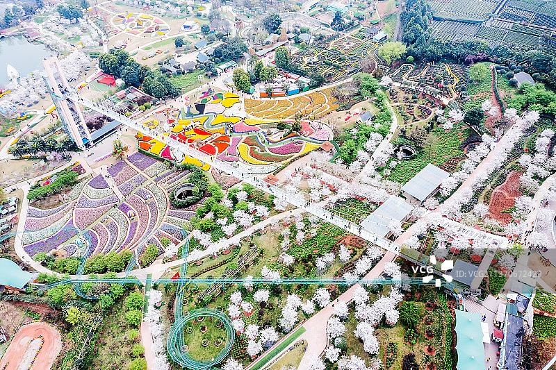 四川成都市新都区漫花庄园盛开的花和玻璃栈道航拍图片素材