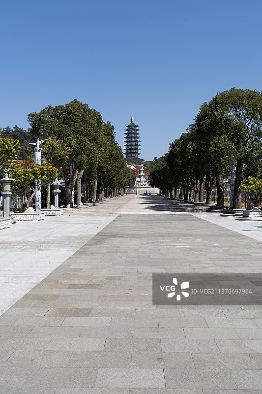 温州市洞头区中普陀寺林荫大道图片素材