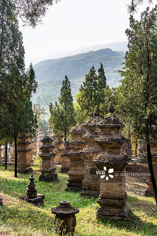 中国河南嵩山少林寺的塔林图片素材