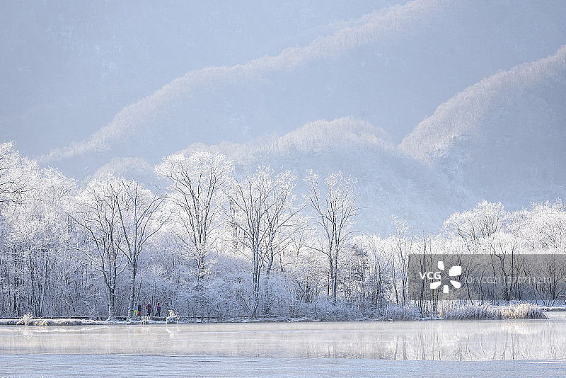 大九湖的雾凇图片素材