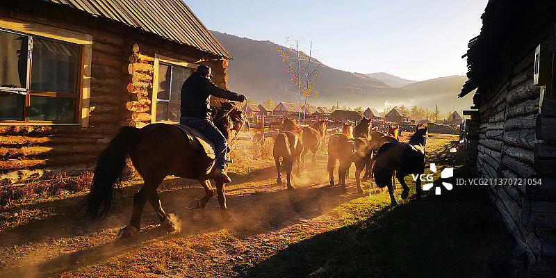 牧马人图片素材