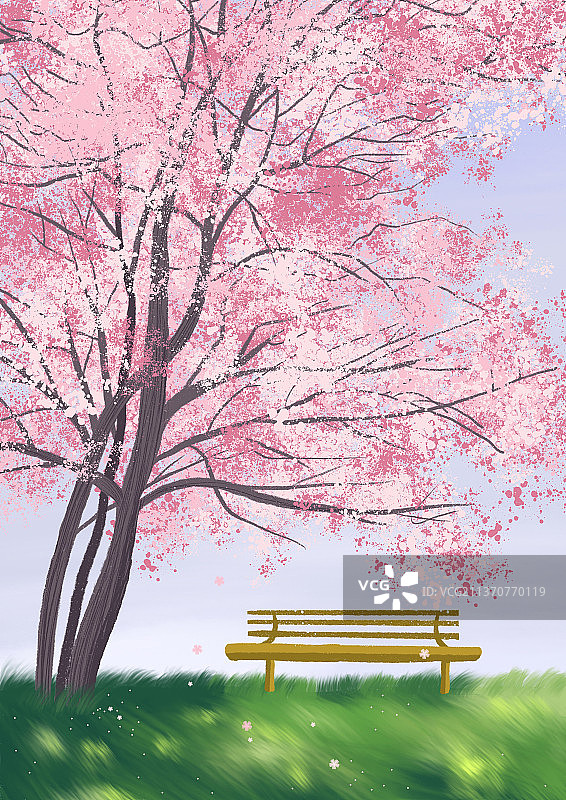 樱花树下图片素材